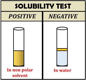 ethanol test for lipids|Qualitative Analysis of Lipids .